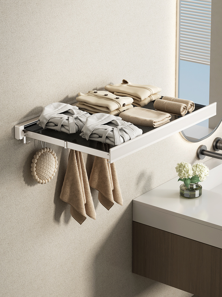【SG STOCK】Retractable Invisible Clothes Hanger Net Folding Aluminium ...
