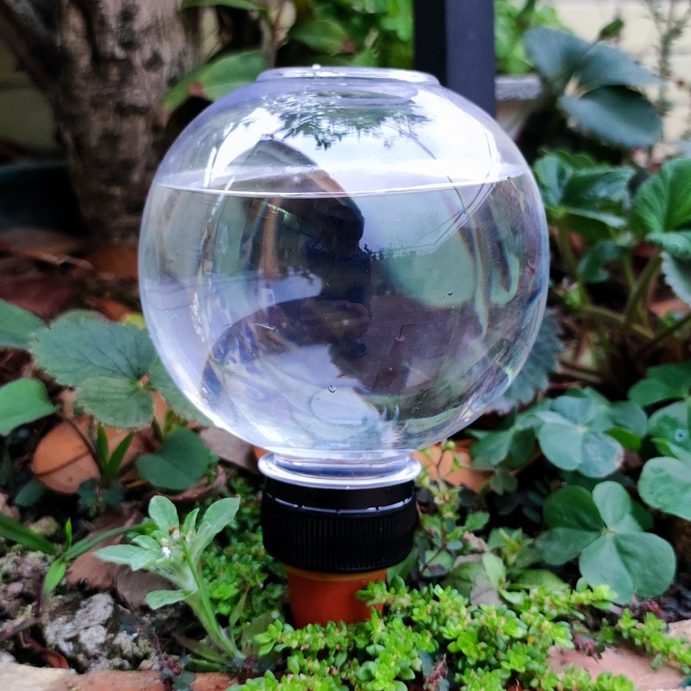 1Pc Spheroid Shape Automatic Watering Device Domestic Lazy Flower ...