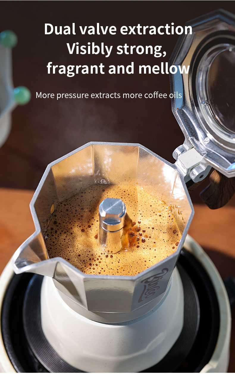 BINCOO Double Valve Moka Pot Set Home Brewing Coffee Pot Italian