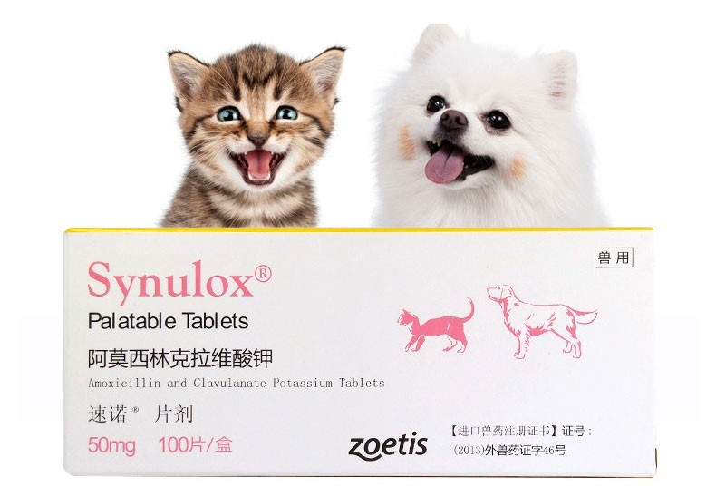 Synulox Palatable Antibacterial Tablets for Cats and Dogs 50mg 250mg ...