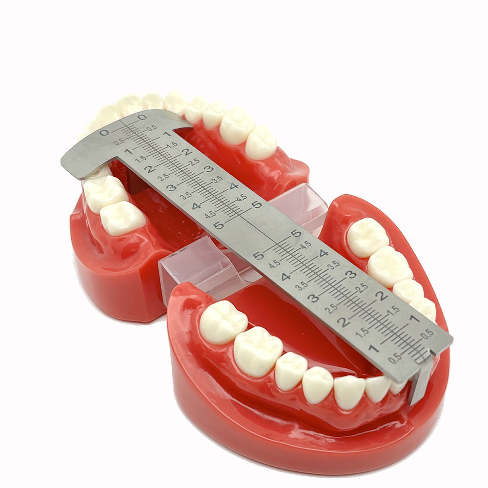 Dental Stainless Steel Ruler Papilla Gauge Papillameter Measuring Lip ...