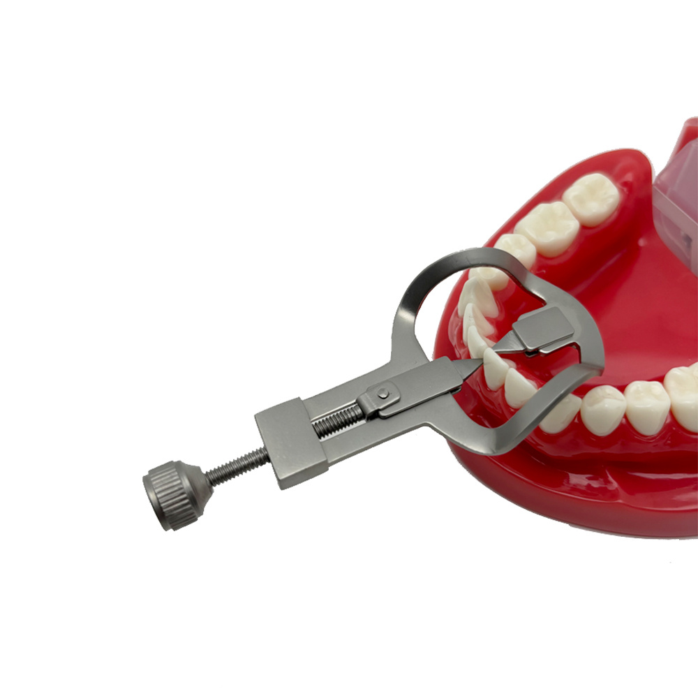 Dental Teeth Separator Dividor Wedge Retainer Anterior Teeth Posterior ...