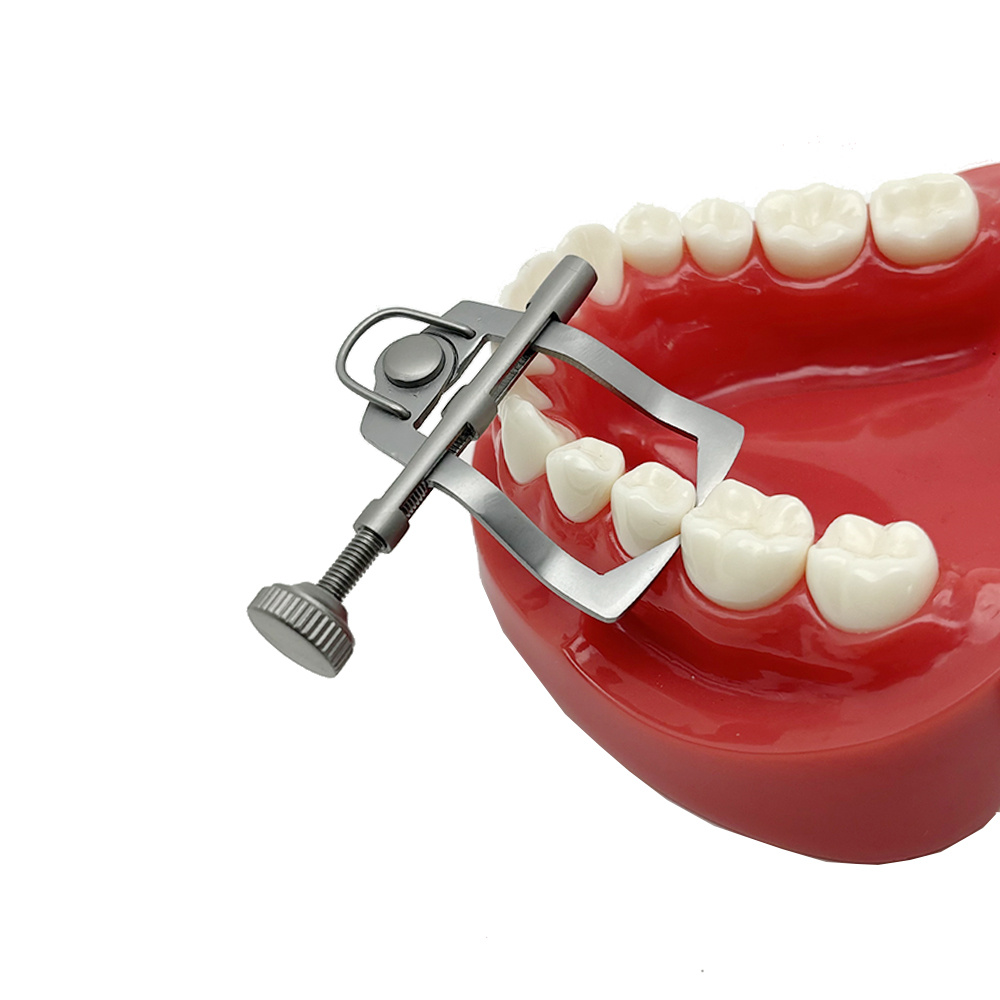 Dental Teeth Separator Dividor Wedge Retainer Anterior Teeth Posterior ...