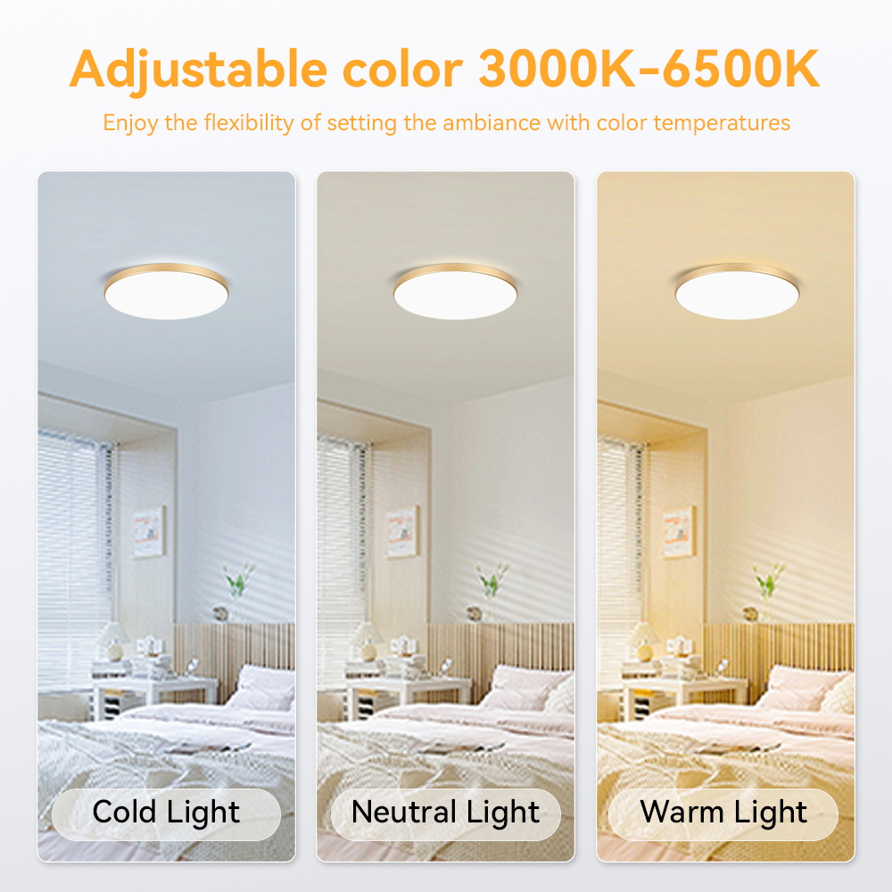 3 Colors Led Ceiling Light Waterproof 30w 40w 50w Ceiling Lamp For ...