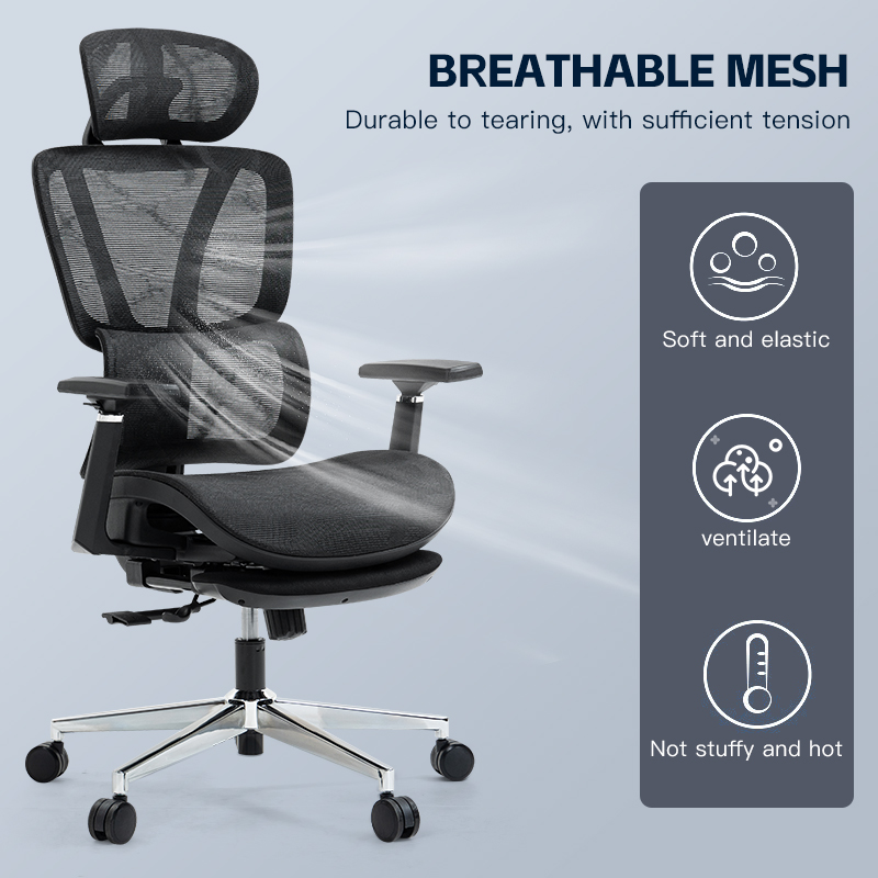 Ergonomic Office Chair Home Study Mesh Computer Chairs | Shopee Singapore