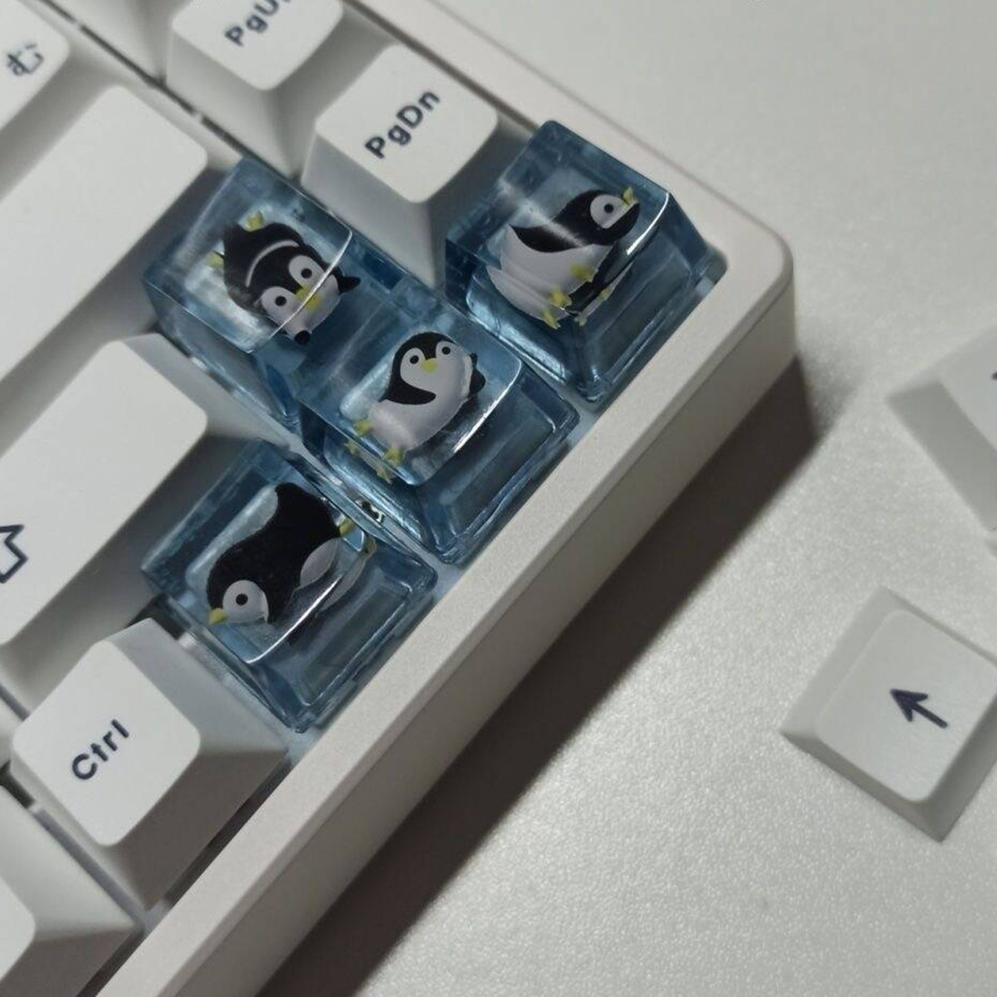 Penguin Panda Personalized Keycaps Direction Keys Cute Translucent ...