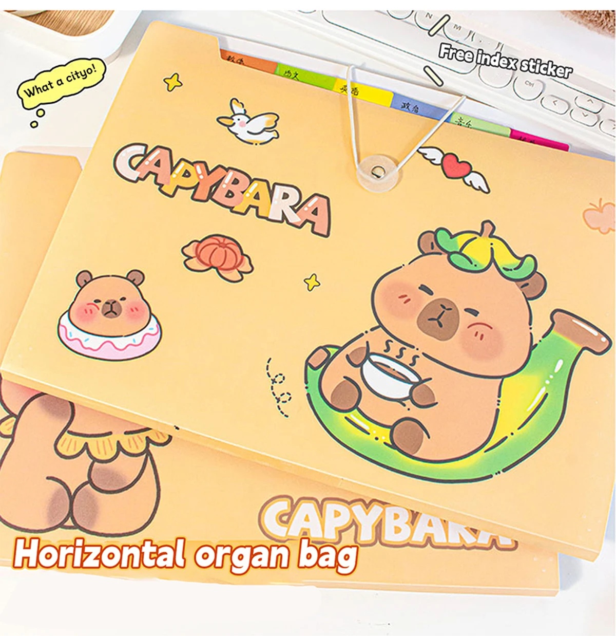 12 Layers Capybara A4 File Folder Test Paper Storage Folder Portable ...