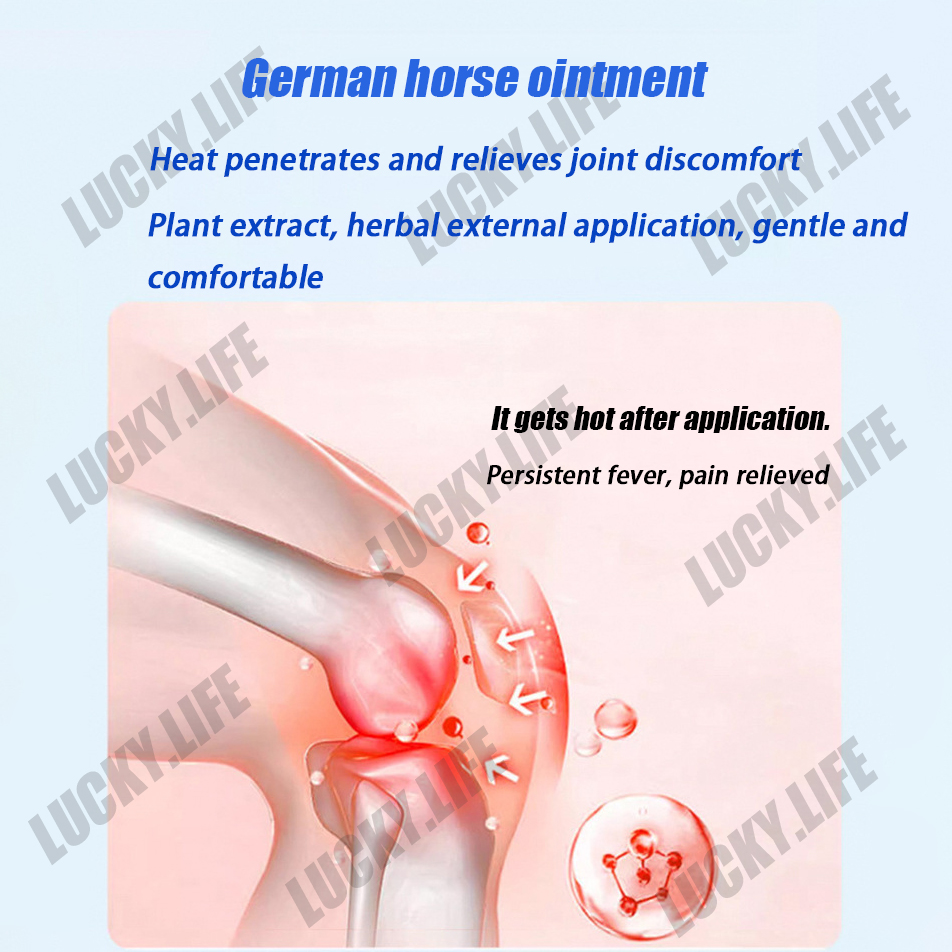 【SG Stock】Authentic German Horse Krauterhof Horse Chestnut Massage Balm ...