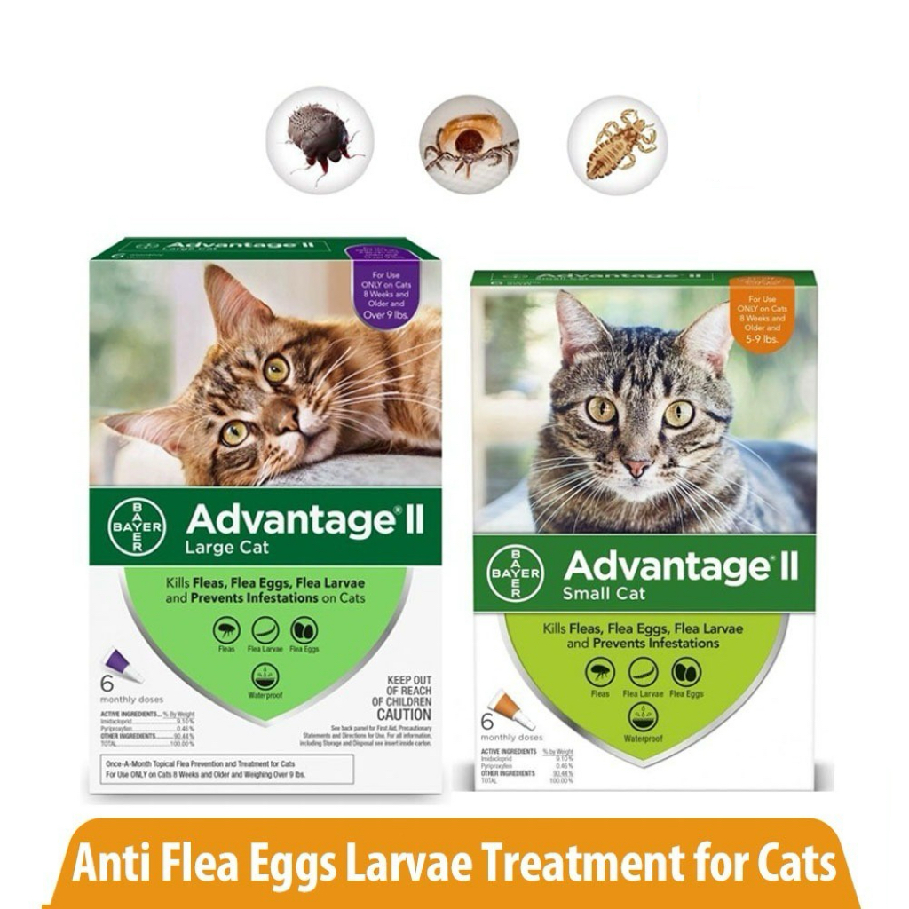 Fresh Look at 1 6Pcs Elanco Advantage Flea And Tick Cat Spot On