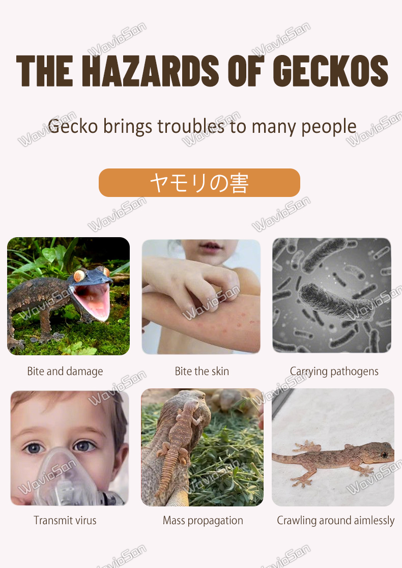 【Powerful gecko killer】BS Lizard killer Lizard bait New Formula: 99× ...