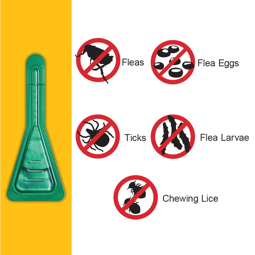 FRONTLINE Plus Full Range Of Dog And Cat Repellents For Tick And Flea ...