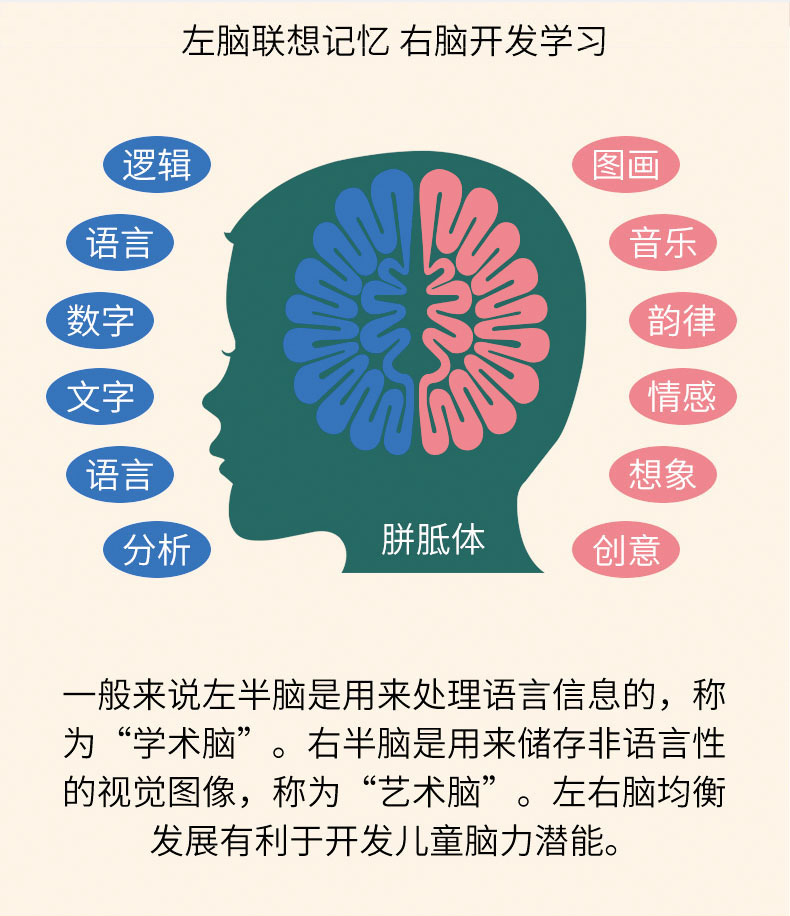 3000 Words Chinese Characters Literacy Book with Picture QR Mandarin ...