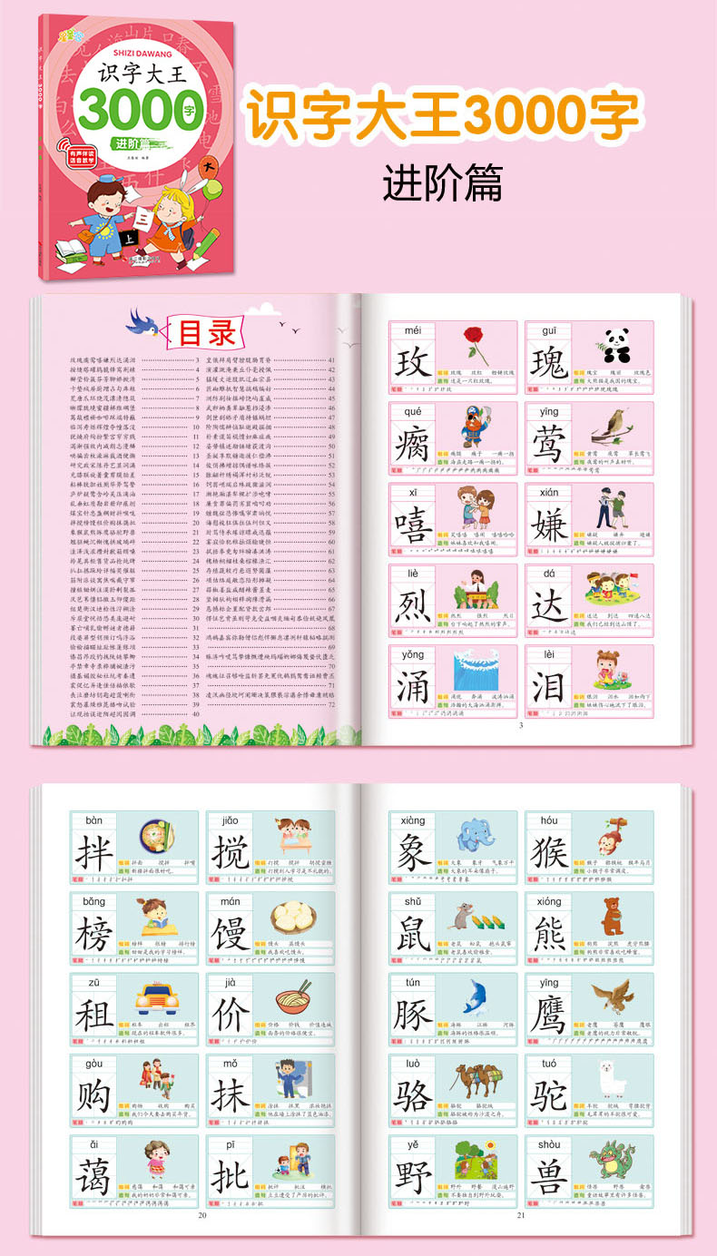 3000 Words Chinese Characters Literacy Book with Picture QR Mandarin ...