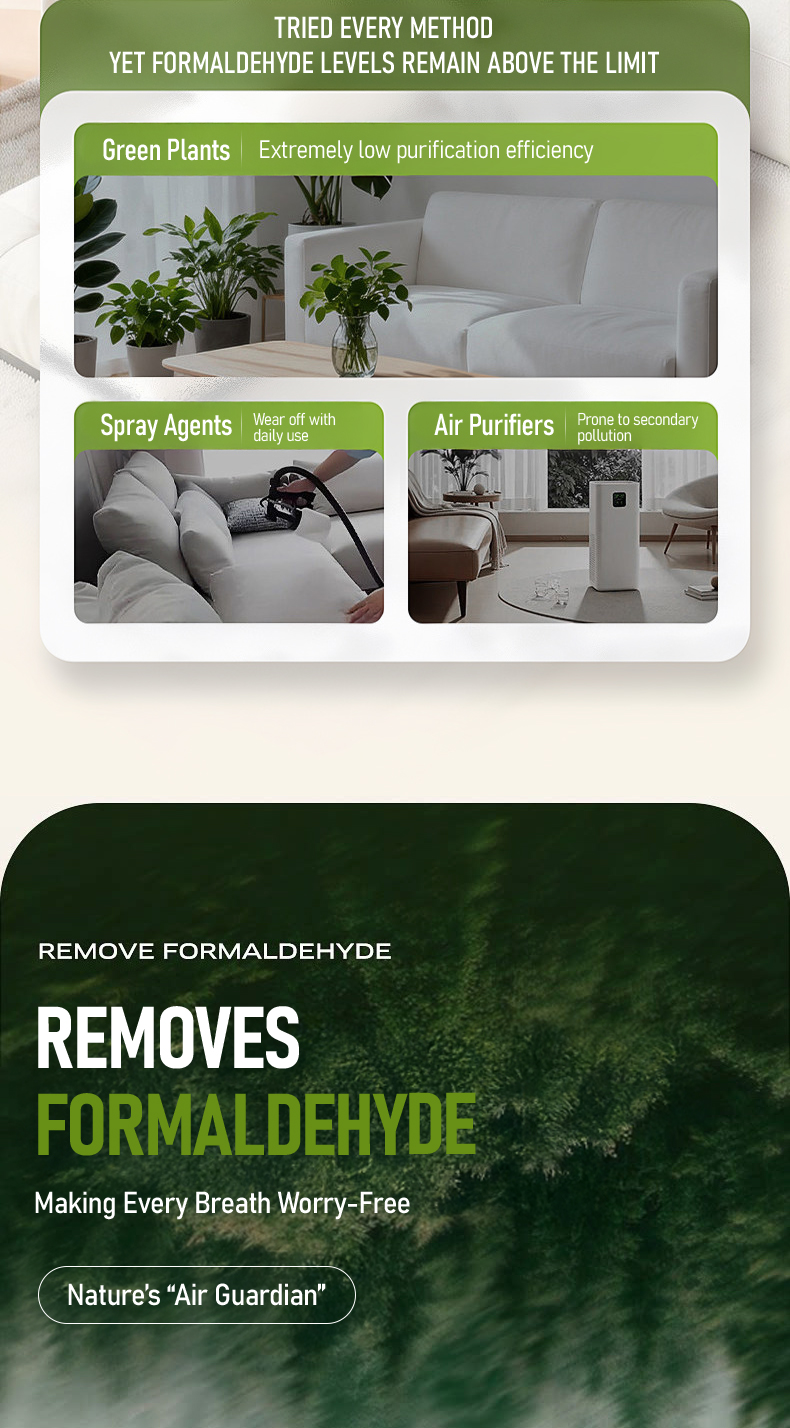 【Pet-Friendly】Formaldehyde Removal Gel 200g | HCHO & Odour Absorber for ...