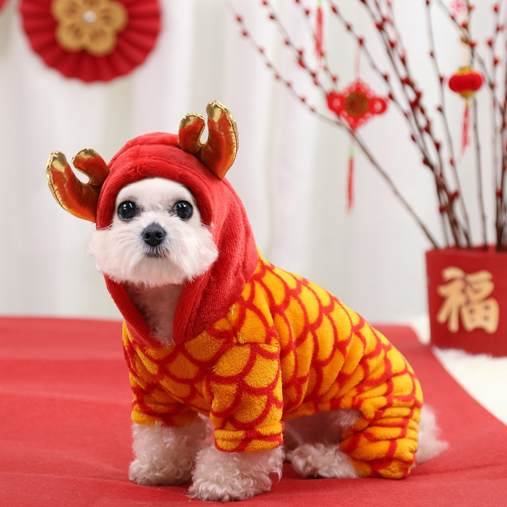 Pawsfun Dog Costume Cute Lion Dance Dog Costume with Beast Horn Chinese New  Year Cat Dog Clothes for Small Medium Dogs Pet Costume Lion Dance Dragon  Dance Clothing Great for Halloween, Christmas