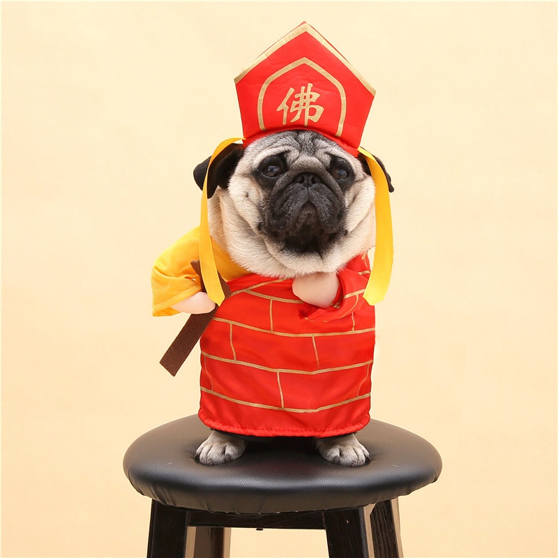 Pawsfun Dog Clothes Funny Costume Chin Buddha Hat Tik Tok Contrast Style Cat Method Sea Monster
