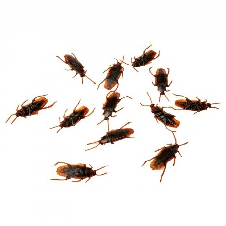 [SG Stock] Fake Rubber Cockroaches Prank Insect Props Realistic Scare ...