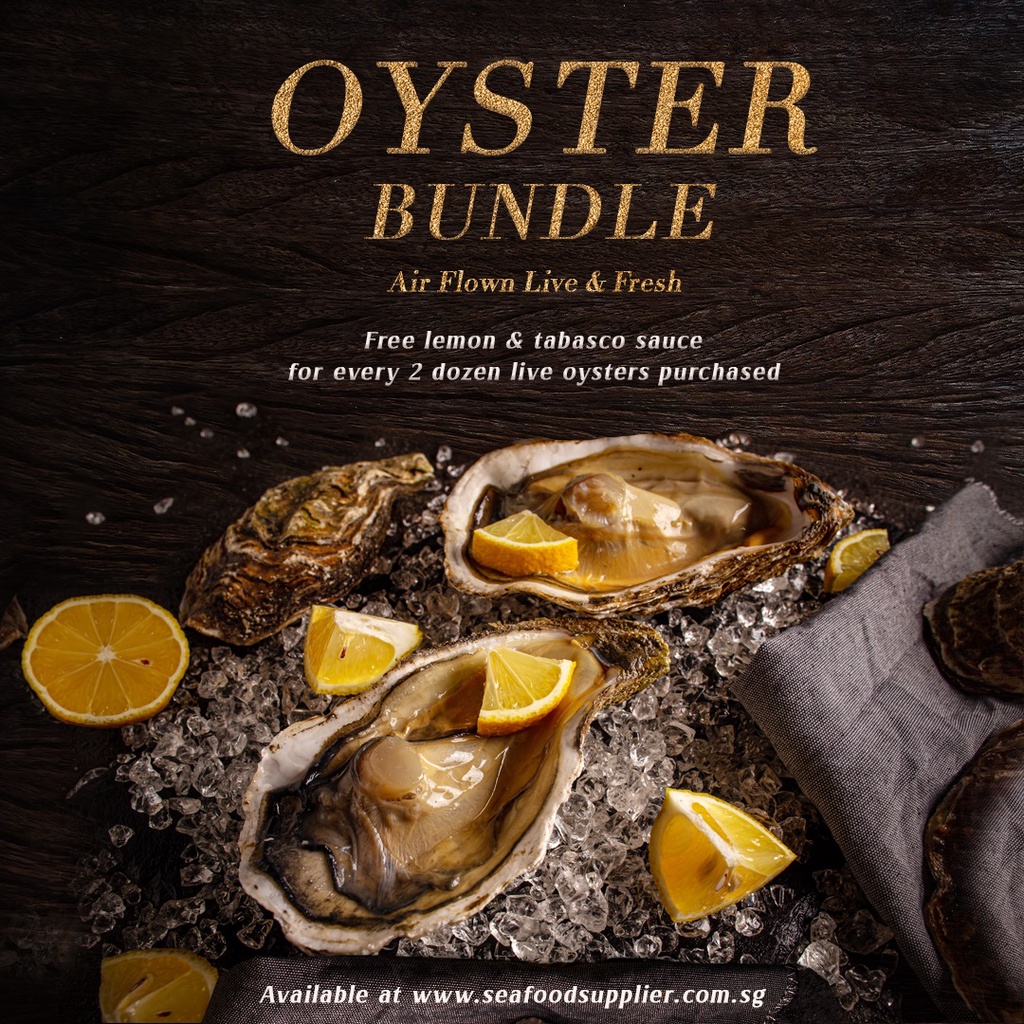 New Zealand Live Oysters (2 Dozen) - Free Tabasco & Lemon (Savour ...