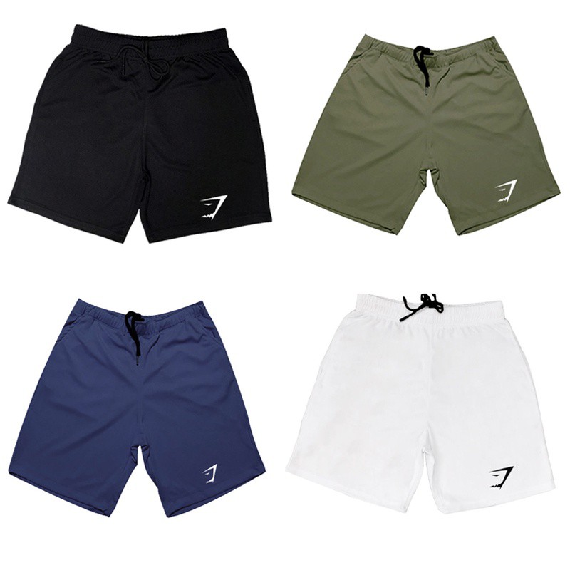 Healthland Sport Gym Shorts Men (9 Color)