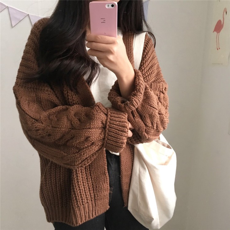 Korean Chic New Loose Long Sleeved Twist Knit Sweater Cardigan 5 Colors