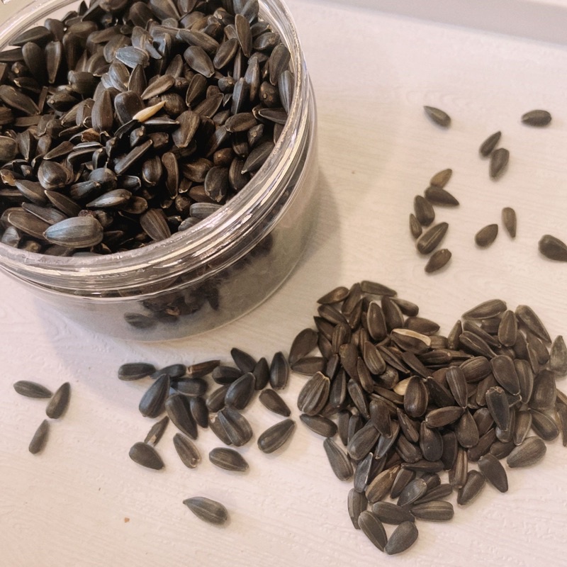 🇸🇬 SG Stock 🇸🇬 Sunflower Seeds for Hamsters and Small Animals Shopee