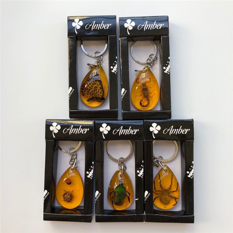 Resin insect key ring key chain pendant natural insect imitation Amber ...