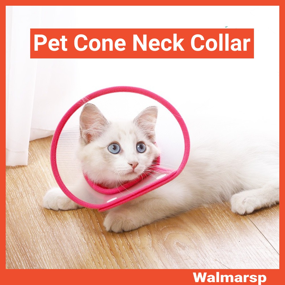 Medical cone for cats best sale