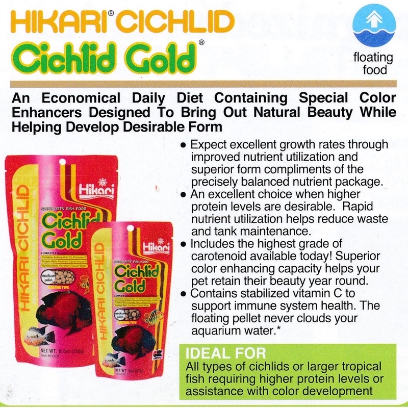 Hikari Cichlid Cichlid Gold mini pellet A Daily, ColorEnhancing Diet