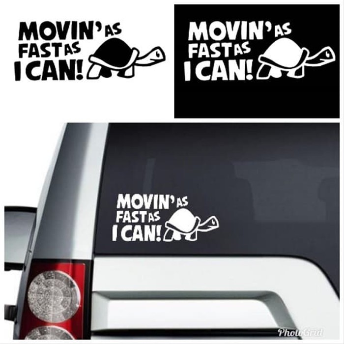 Unique and Cute Car Body Glass Stickers, Turtle Moving Fast Cutting ...