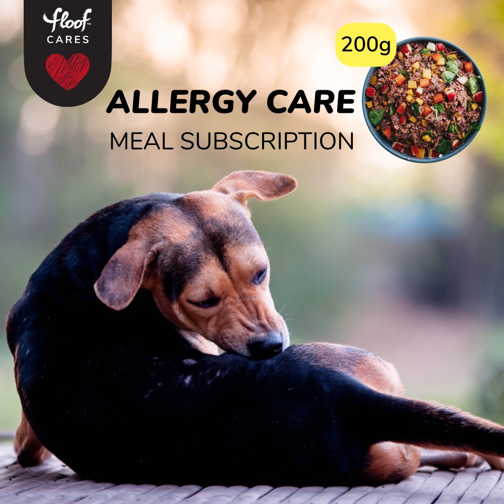 Allergy care dog food hotsell