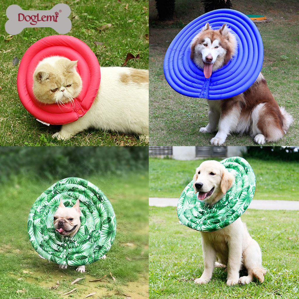 Cushioned dog cones hotsell