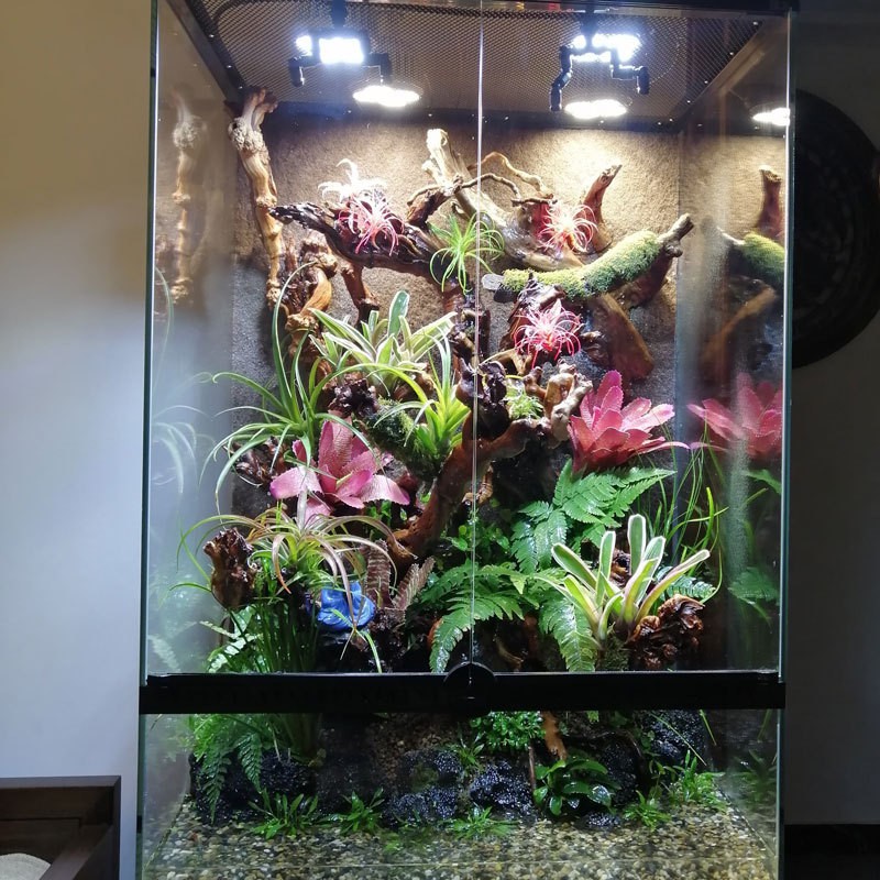 E27 Plant White LED Grow Light Bulb 35W for High Ceiling Vertical