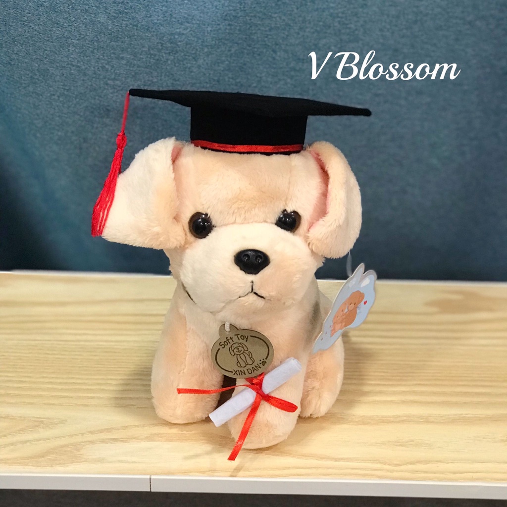 SG Seller Graduation Puppy Doggies Plush Graduation Bear Beagle Husky Schnauzer Labrador Pug Poodle Golden Retriever
