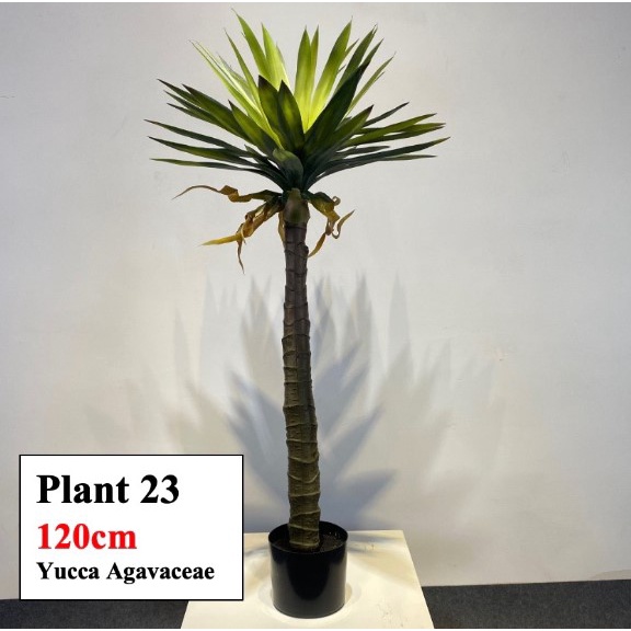 [SG SELLER] Artificial Plant Large Small Tall Yucca Agave Faux Plant Flower Tropical Yucca