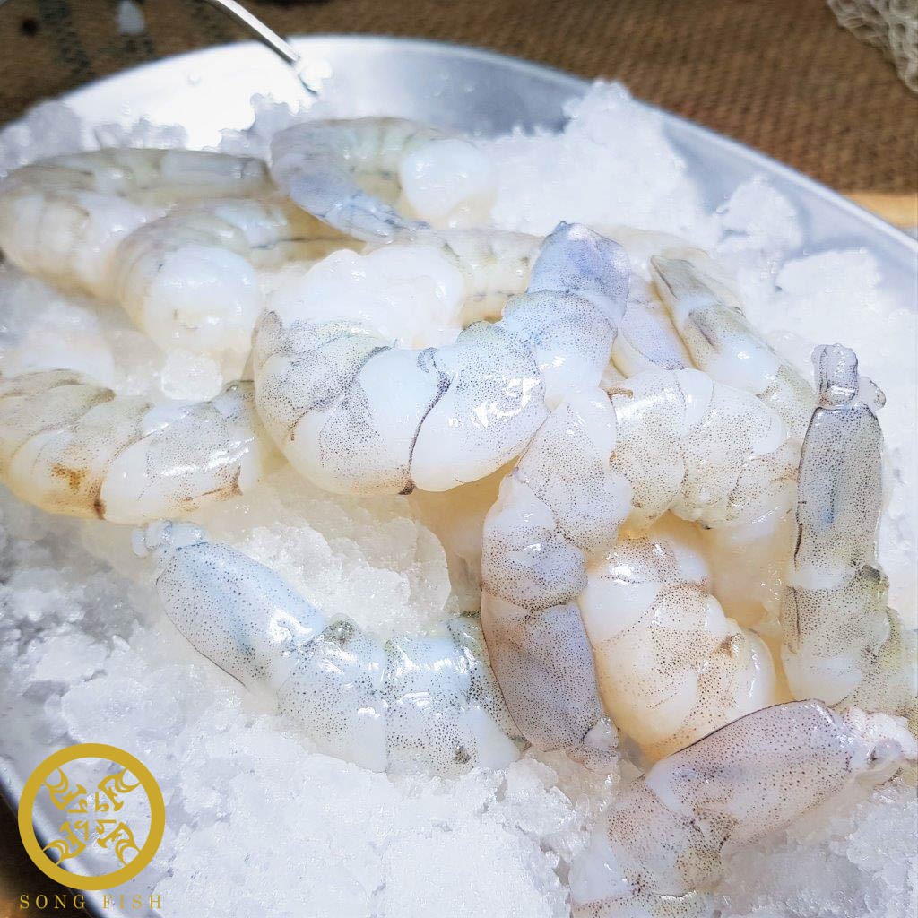 Seafood Market Place by Song Fish, Online Shop Aug 2026 | Shopee Singapore