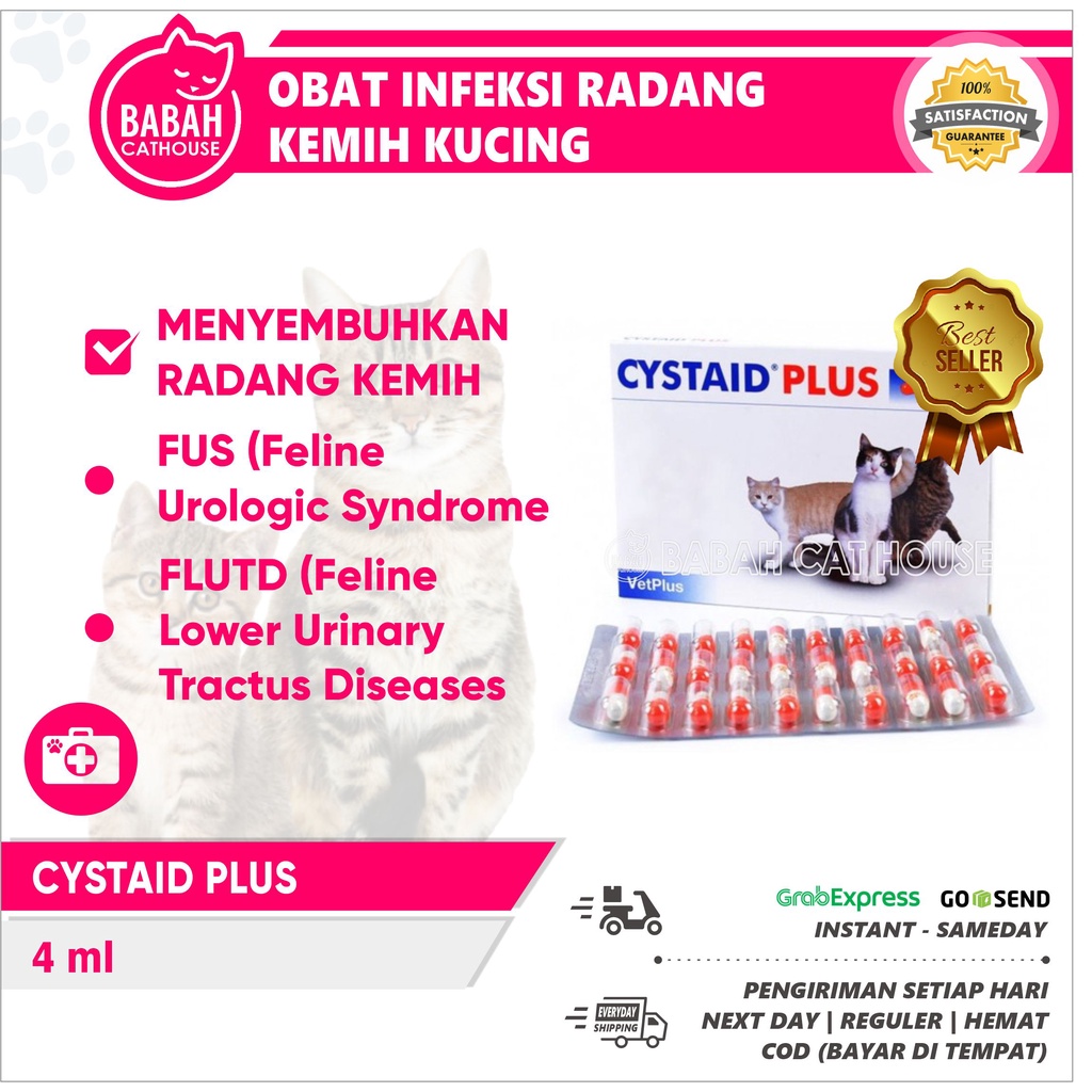 cystaid-plus-cat-urine-medicine-cat-urinary-tract-infection-ori