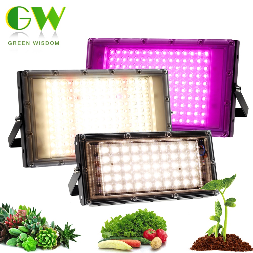 LED Grow Light 220V Full Spectrum Phytolamp 50W/100W/300W Waterproof Lamp for Plants Greenhouse