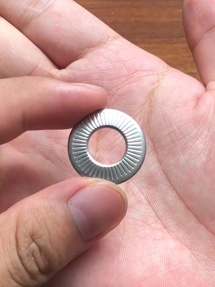 M3 M4 M5 M6 M8 M10 M12 M14 M16 304 Stainless Steel Disc Spring Serrated ...