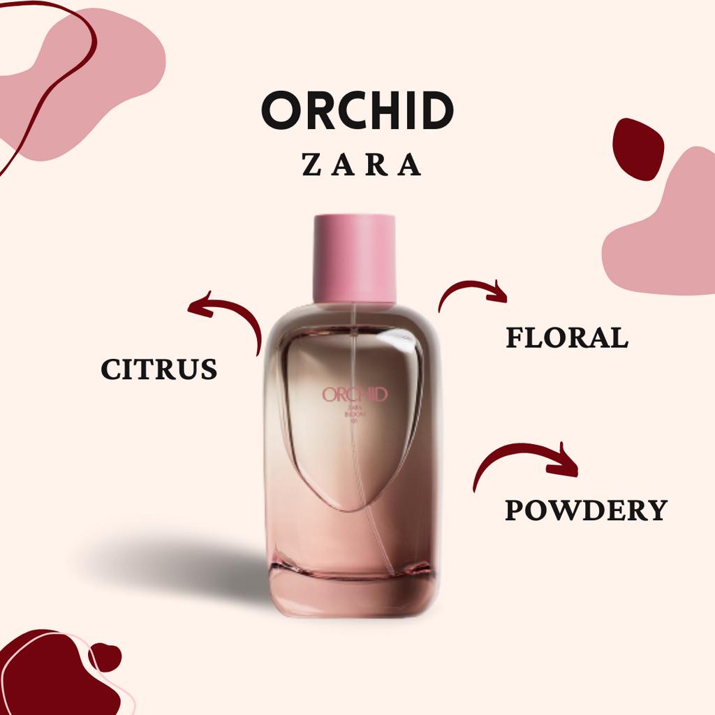 Zara - Summer Collection 02 - Pink Flambé » Reviews & Perfume Facts