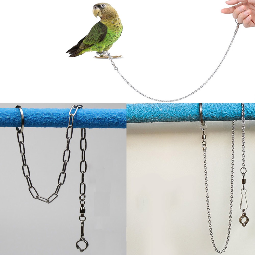 Parrot Leg Ring Anklet Foot Chain 45cm to 48cm bird anklet with ...