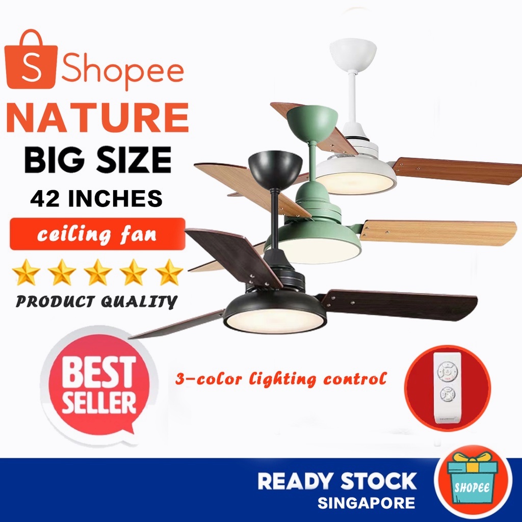 Ceiling Lamp Ceiling Fan Bedroom Variable Speed Fan Ceiling Fan Ceiling