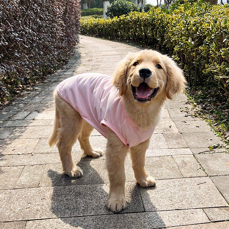 Dog Clothes Summer Thin Golden Retriever Samoyed Labrador Summer ...