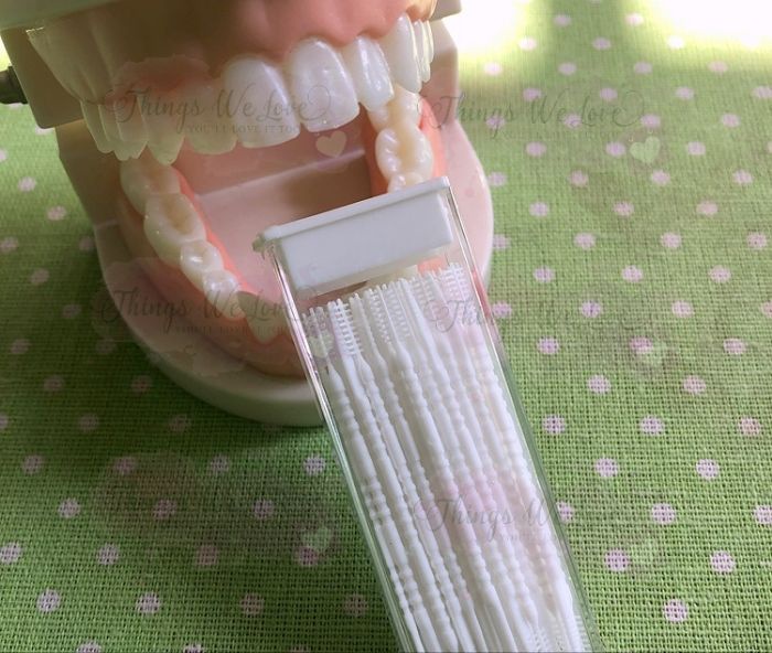 [SG] [FREE🚚] Interdental Fish Bone Toothpicks In Box Fishbone Toothpick ...
