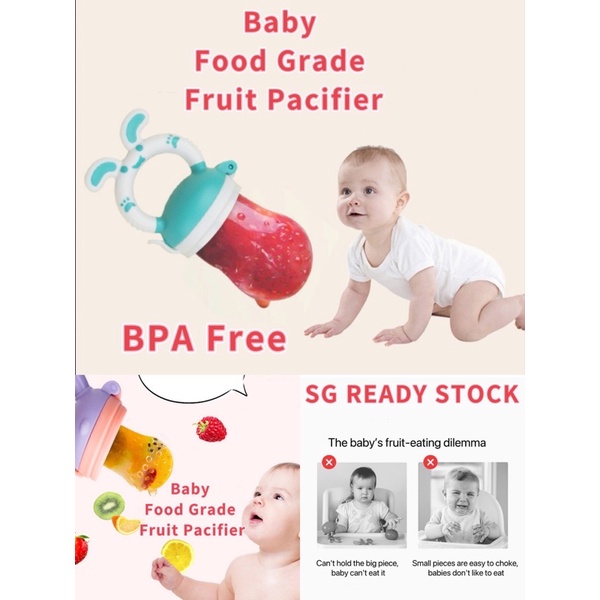 [SG] Baby Fruit Pacifier Baby Feeder Bite Bottle Feeding Nursing Fruit ...
