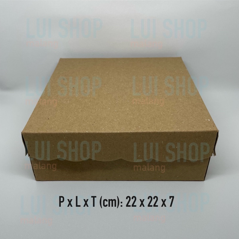 KRAFT RICE BOX 21.5cm x 21.5cm R10B 350gr (MB) What is you? | Shopee ...