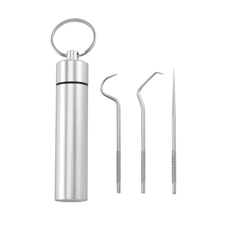 1 Set Stainless Steel Toothpick Set Portable Oral Cleaning Tools Tooth ...