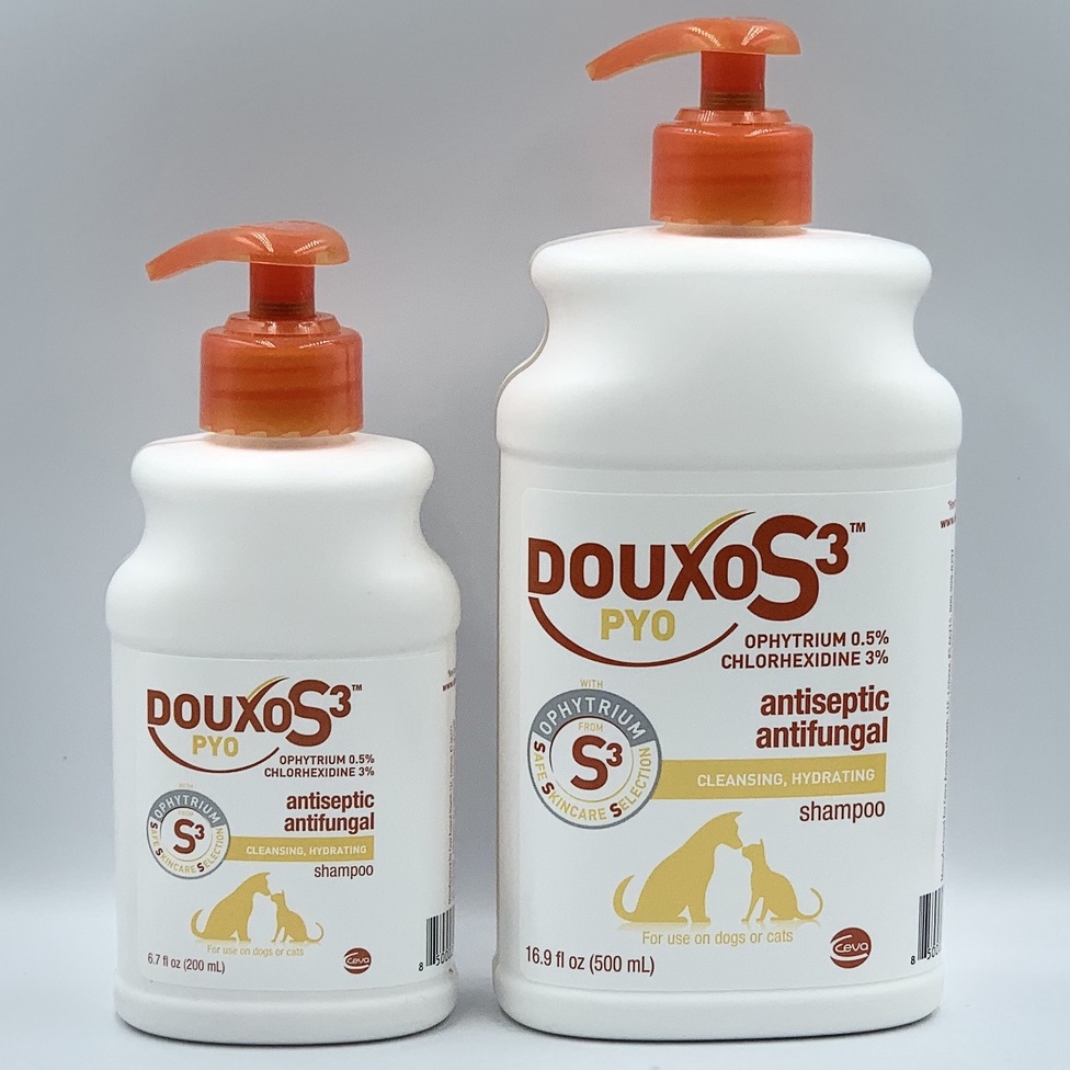 Douxo chlorhexidine shampoo for dogs shops