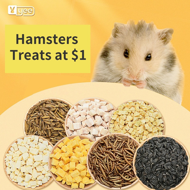 Hamster snacks 2024