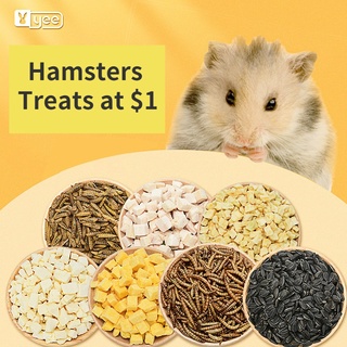 Best shop hamster treats