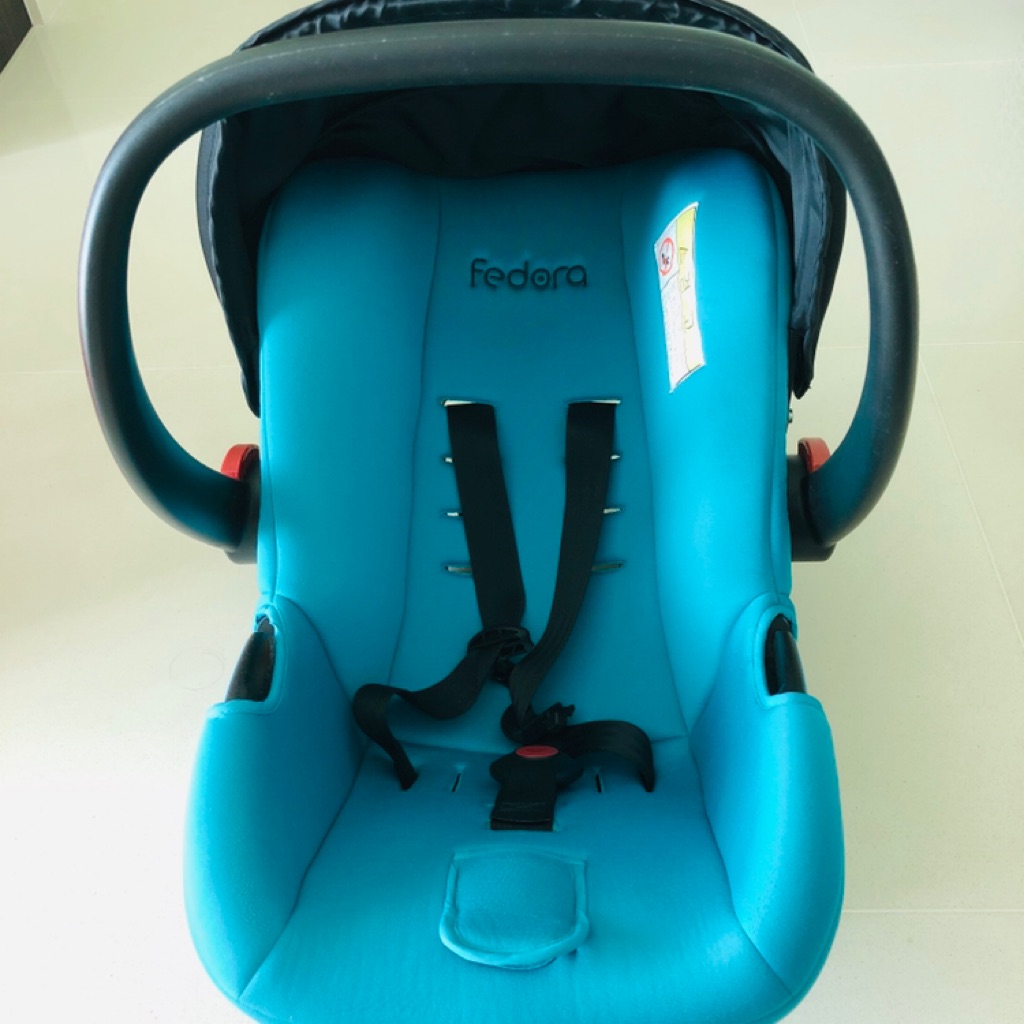 Fedora 2024 car seat